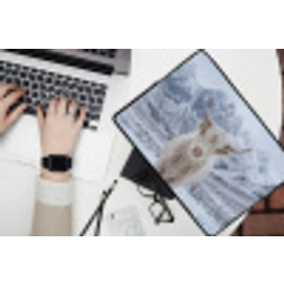 Schotse Hooglander - Sneeuw - Bergen - Winter laptophoes neopreen klein -bureau
