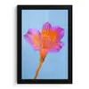 Bloem - Detail - Kleurrijk fotolijst zwart zonder passe partout klein -3d