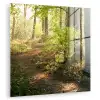 Bos - Bomen - Pad - Zon - Planten - Bladeren - Natuur plexiglas 5mm klein -zzzproduct_nieuw