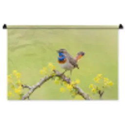 Vogel - Tak - Natuur - Kleurrijk Wandkleed katoen middel -zz3d