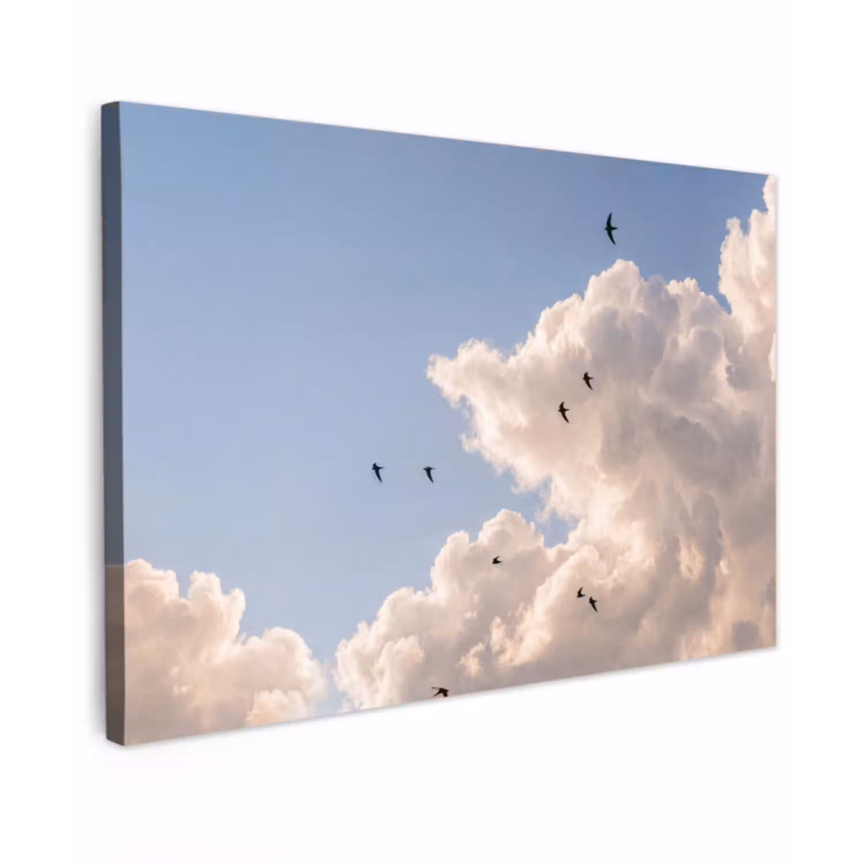 Vogel - Vlucht - Wolken - Natuur - Blauw Tuinposter op houten frame 2 cm dik klein -3d