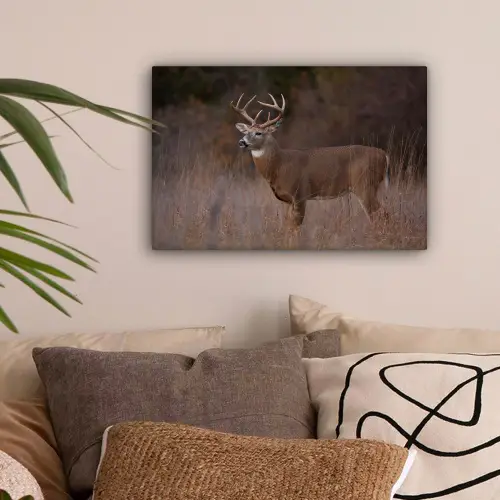 Herfst - Hert - Gras - Natuur - Dieren canvas 2cm klein -sfeer1