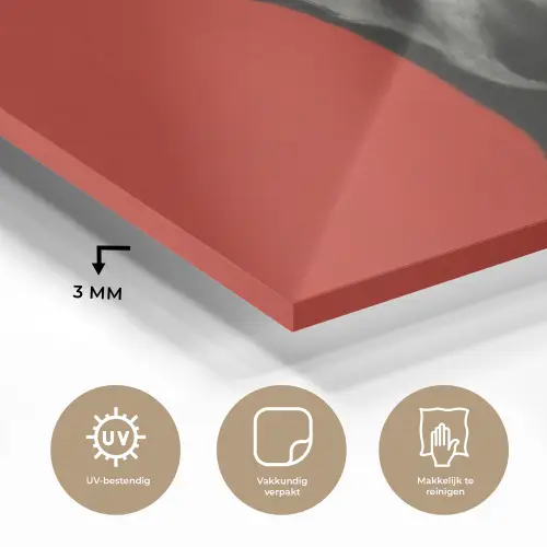 Windhond - Minimalistisch - Rood plexiglas 5mm klein -sfeer2