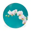 Orchidee - Bloemen - Plant - Wit - Paars Wandcirkel aluminium klein -3d