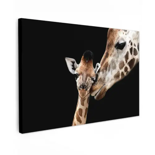 Giraffe - Dieren - Zwart - Portret - Dieren canvas 2cm klein -z3d