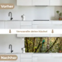 Quetzal - Jungle - Natuur - Groen keuken achterwand 2 middel -voor-na_DE