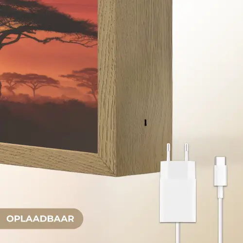 Savanne - Olifanten - Zonsondergang Light Box met batterij (Wandlamp) middel -USP_websiteoplaadbaarNL