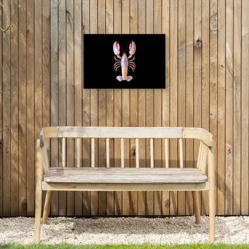 Kreeft - Roze - Zacht - Zwart Tuinposter op houten frame 2 cm dik klein -sfeer4