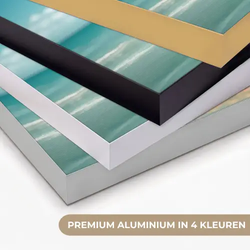 Zeewater - Hond - Golden retriever - Zonnebril Textielframe zwart klein -USP_kleurenNL