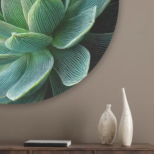 Vetplant - Bladeren - Groen - Wazig Akoestische PET Vilt - Rond klein -sfeer5_closeup