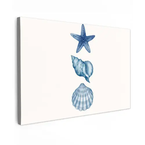Zeester - Schelpen - Blauw canvas 2cm klein -z3d