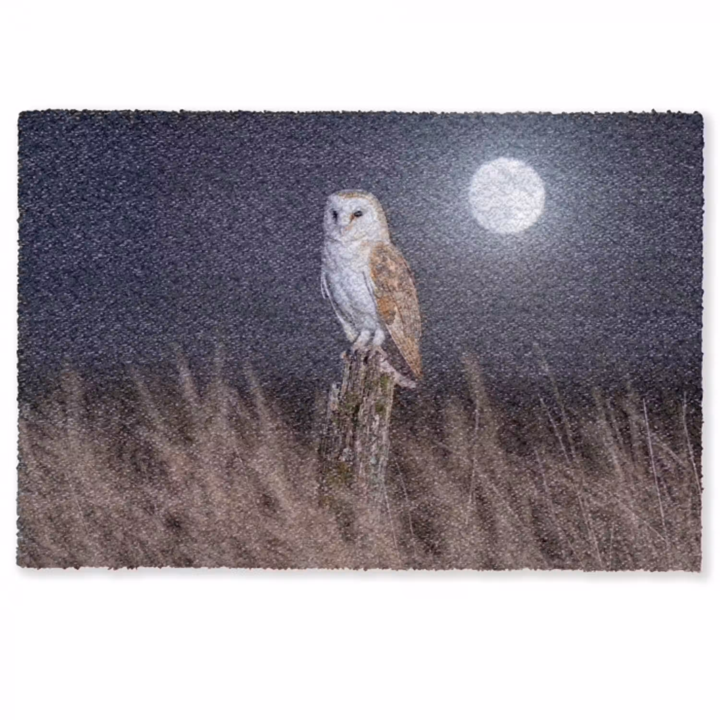 Kerkuil - Maan - Nacht Deurmat klein -zkaufland3d