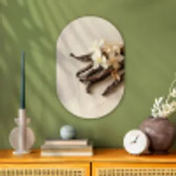 Vanille - Bloemen - Beige Wandcirkel Ovaal Forex klein -sfeer2