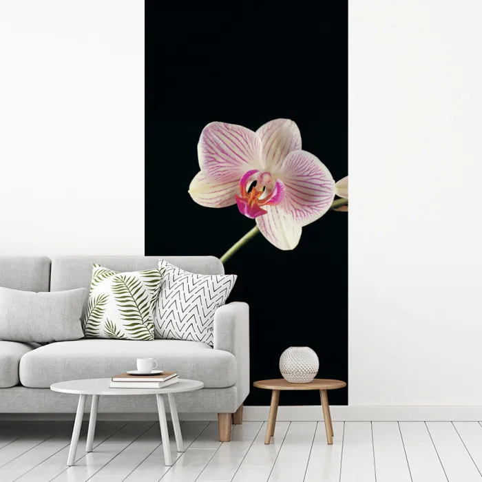 Orchidee - Bloemen - Zwart - Roze - Knoppen fotobehang vinyl groot -woonkamer