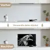 Adelaar - Portret - Roofvogels - Zwart - Wit - Vogel keuken achterwand spatscherm klein -voor_na_DE