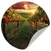 Wijngaard - Druiven - Zonsondergang Wandcirkel behangsticker klein -3d