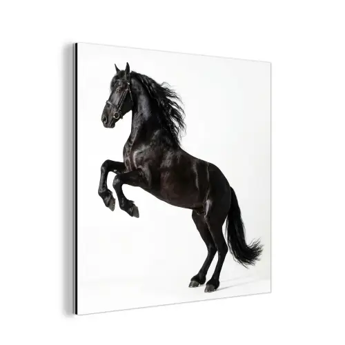 Zwart - Paard - Portret aluminium wit klein -3d