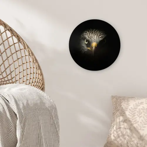 Vogel - Adelaar - Roofvogels - Oog - Snavel - Licht Wandcirkel kunststof plaat 5mm dik klein -sfeer5