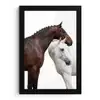 Paard - Modern - Balans fotolijst zwart zonder passe partout klein -3d