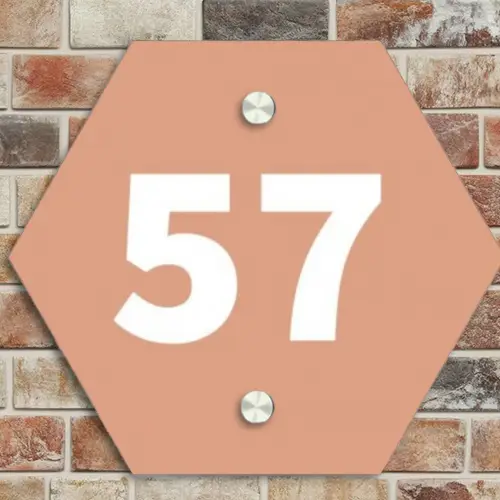 Zalmroze - Traditioneel Naambord Hexagon klein -sfeer2