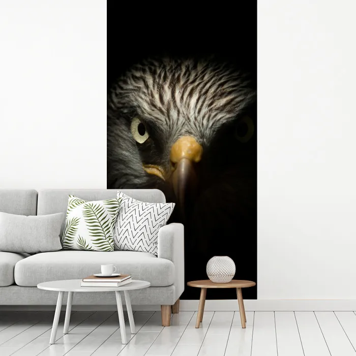 Vogel - Adelaar - Roofvogels - Oog - Snavel - Licht fotobehang vinyl groot -woonkamer