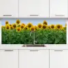 Zonnebloemen - Geel - Natuur keuken achterwand 2 middel -3d