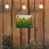 Zonnebloemen - Geel - Natuur tuinposter los doek klein -sfeer1
