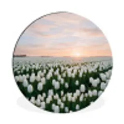 Tulpen - Landschap - Wit Wandcirkel aluminium klein -3d