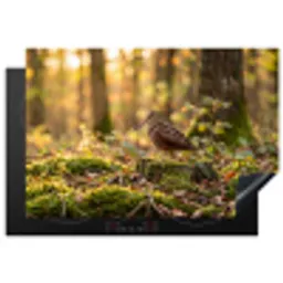 Houtsnip - Bos - Bladeren - Herfst - Gecamoufleerd Inductie beschermer vinyl 3mm klein -3d