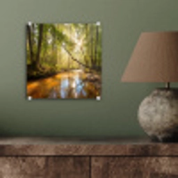 Bos - Beek - Zonlicht - Natuur - Groen plexiglas 5mm klein -sfeer3
