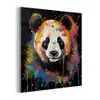 Panda - Graffiti - Dieren - Zwart - Kleuren plexiglas 5mm klein -z3d