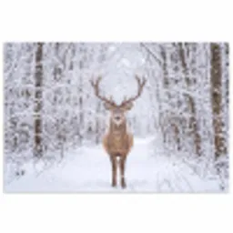 Hert - Winter - Bos - Natuur - Wit poster papier klein -3d