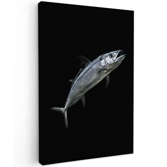 Makreel - Vis - Zwart Tuinposter op houten frame 2 cm dik klein -3d