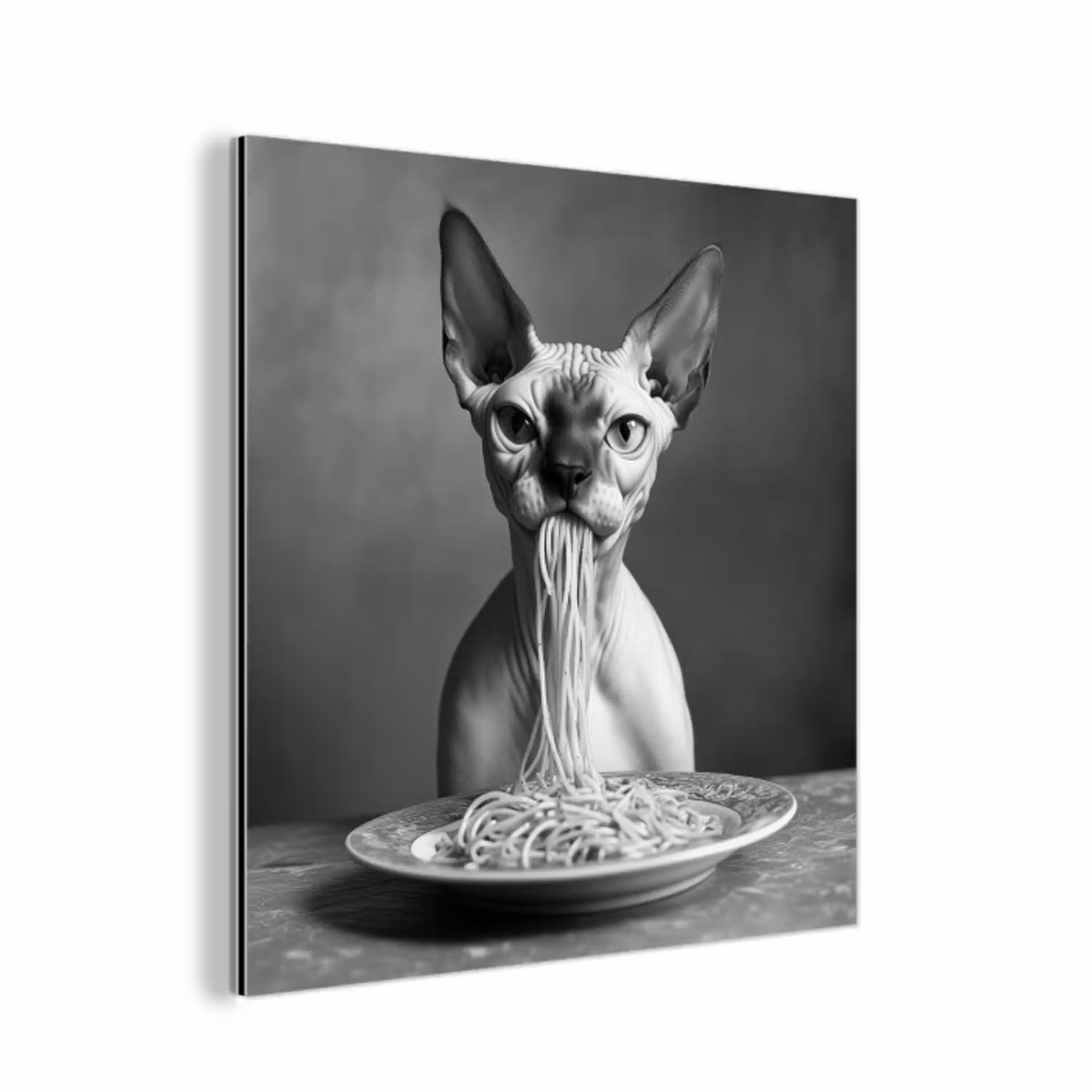 Sphynx - Kat - Dieren - Humor - Spaghetti - Zwart Wit aluminium wit klein -3d