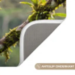 Toekan - Jungle - Natuur - Kleurrijk Badmat klein -USP_AntislipNL