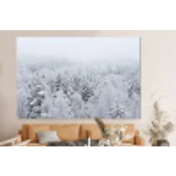Bos - Sneeuw - Winter - Natuur - Wit forex 5mm xxl -bovenbank
