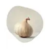 Knoflook - Natuurlijk - Beige Wandcirkel Organisch Forex 3mm klein -3d