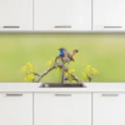 Vogel - Tak - Natuur - Kleurrijk keuken achterwand 2 middel -3d