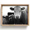 Koeien - Zwart - Wit Dienblad Rechthoek middel -z3d_shopping