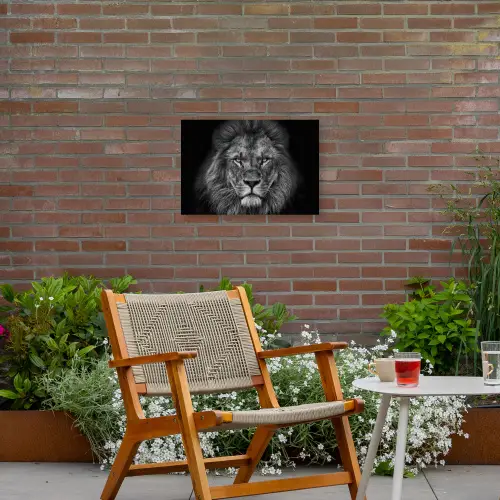 Zwart-wit portret van een leeuw Tuinposter op houten frame 2 cm dik klein -sfeer3