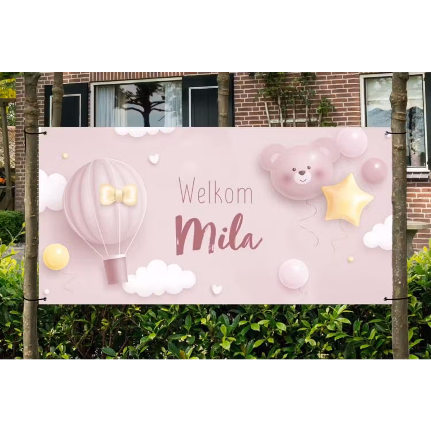 Spandoek - Geboorte - Meisje