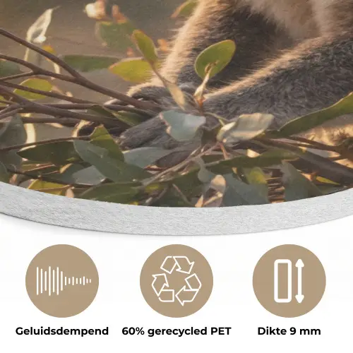 Koala - Bladeren - Ochtendlicht Akoestische PET Vilt - Rond klein -closeup_NL