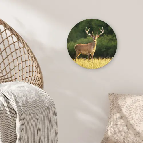 Hert - Gewei - Gras - Natuur - Dieren - Groen Wandcirkel kunststof plaat 5mm dik klein -sfeer5