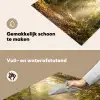 Zonlicht - Bospad - Bomen Inductie beschemer met haakjes klein -ky-schoon-nl