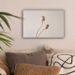 Papaverbollen - Droogbloemen - Minimalistisch - Beige - Rustig canvas 2cm klein -sfeer1