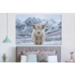 Schotse Hooglander - Sneeuw - Bergen - Winter forex 5mm xxl -slaapkamer
