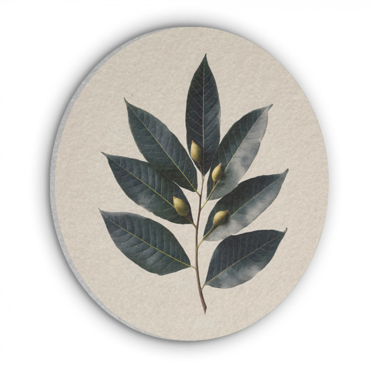 Laurierbladeren - Bloemknoppen - subtiel Akoestische PET Vilt - Rond klein -3d