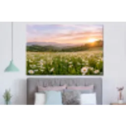 Madelief - Veld - Heuvels - Groen forex 5mm xxl -slaapkamer
