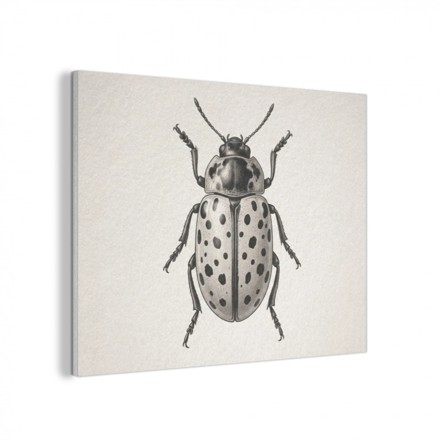 Kever - Insect - Vintage PET vilt klein -3d