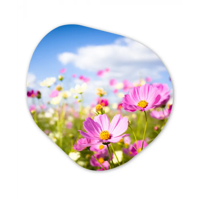 Bloemen - Wei - Paars - Gras - Wit - Wolken - Blauw Wandcirkel Organisch Forex 3mm klein -3d